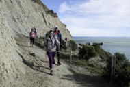 Staples Rodway Challenge