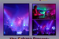 The Deep Purple Project