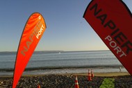 Napier Port Ocean Swim 2018
