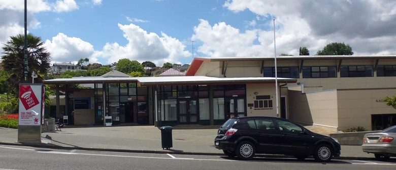 Helensville Library