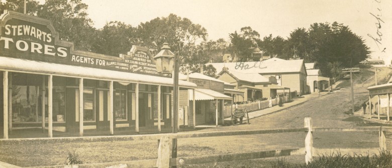 Helensville Pioneer Museum