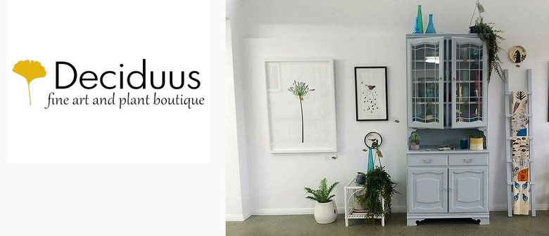 Deciduus - fine art and plant boutique, Tirau