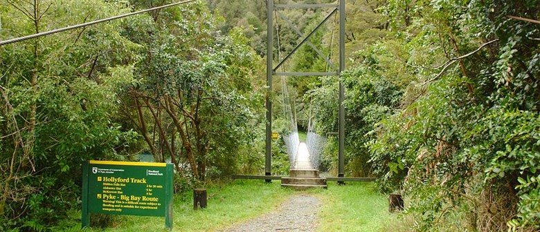 Hollyford Track