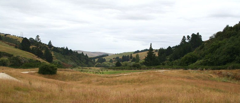 Gabriel's Gully Historic Reserve