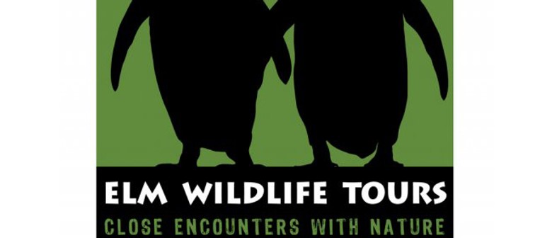Elm Wildlife Tours