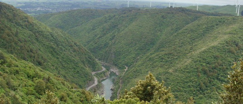 Manawatu Gorge Scenic Reserve