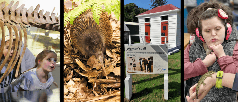 Kiwi North Museum, Kiwi House & Heritage Park