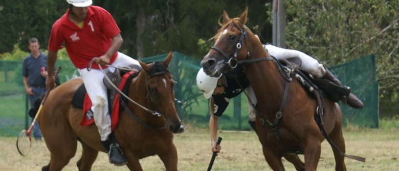 Counties Polocrosse Club Inc