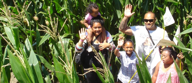 Amazing Maze 'n Maize