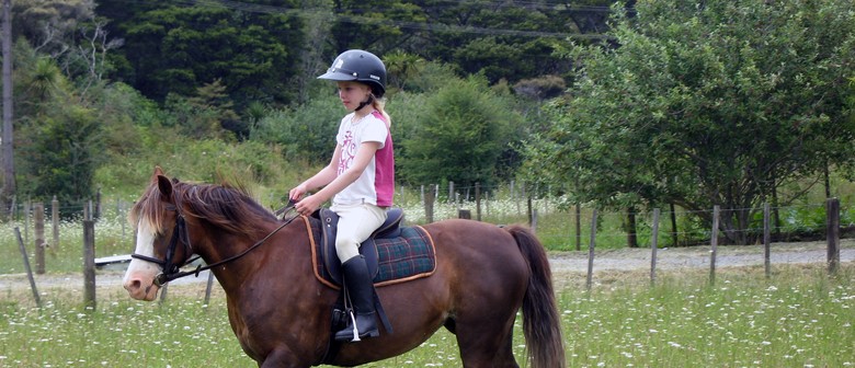 Pony Rides Children's Riding School