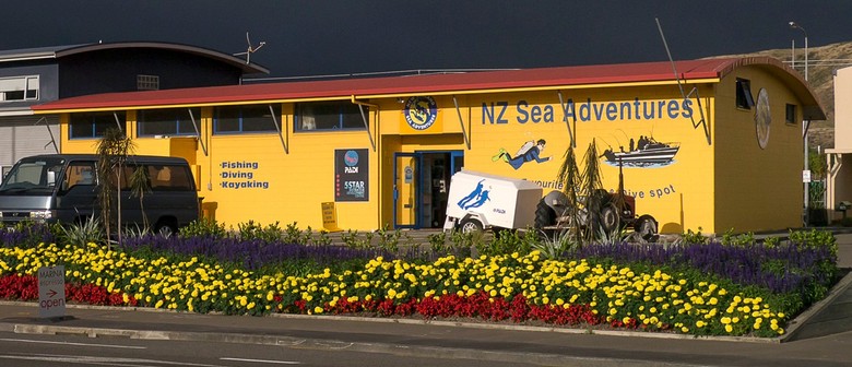 New Zealand Sea Adventures