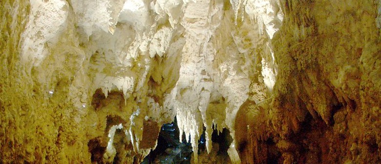 Waitomo Caves