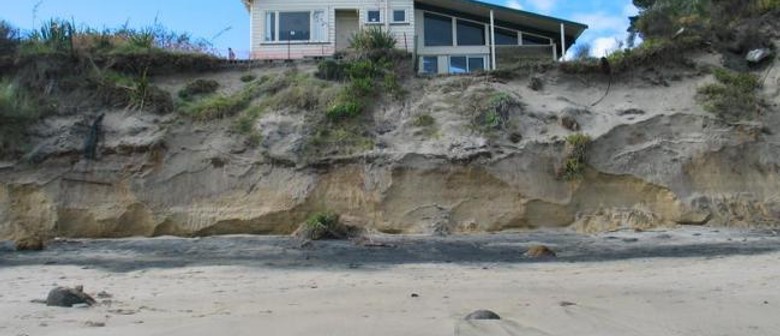 Hokianga Museum